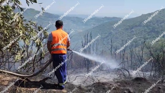 Fier/ Shuhet zjarri masiv në kodrat me Ullishte në Peshtan të Vogël