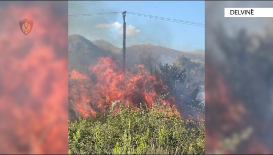 I vuri zjarrin një sipërfaqe me ullinj në Delvinë, në pranga një 56-vjeçar