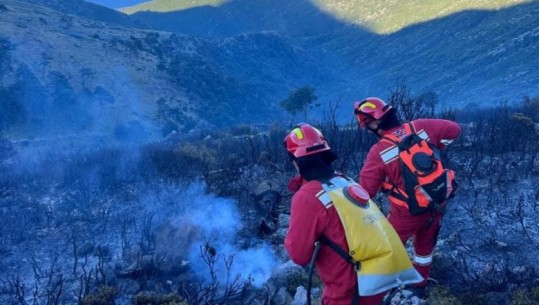 Agjencia Kombëtare e Mbrojtjes Civile: Deri në 5 vite burg kush ndez zjarr në pyje