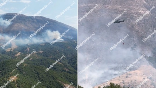 Zjarr në pyjet e Qafë-Muzinë! Ndërhyrje nga ajri për shuarjen e flakëve