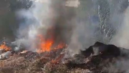 Fier/ Ndezën zjarre për djegien e mbeturinave, procedohen 2 piroman