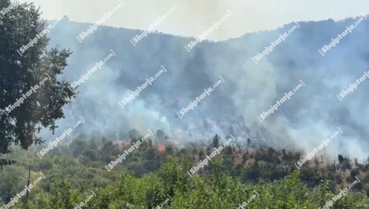 Vatra e zjarrit në Malecaj vijon të jetë aktive, forcat zjarrfikëse 'në luftë' me flakët! Rrezikohen disa banesa