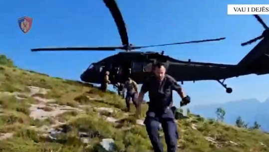 Asgjësohen 8602 bimë kanabisi në Vaun e dejës, kontrolle me helikopter nga ajri