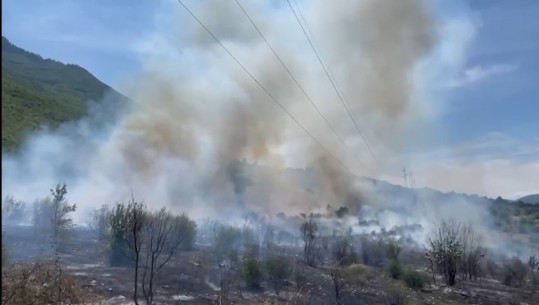 Kukës/ Zjarr në malin e Gjallicës, zjarrfikësit në ‘luftë’ me flakët