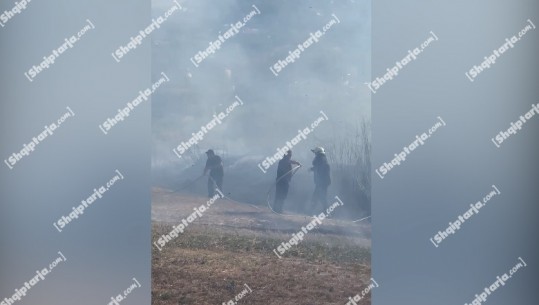 Gjirokastër/ Përfshihet nga flakët tregu i fruta-perimeve, zjarrfikësit në vendngjarje (VIDEO)