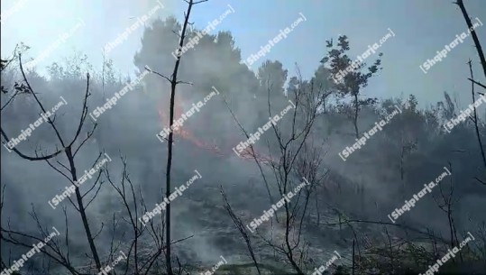 Krujë/ Riaktivizohet zjarri në lagjen Boje! Zjarrfikësit në vendngjarje, u gjetën 50 vatra të qëllimshme në zonë