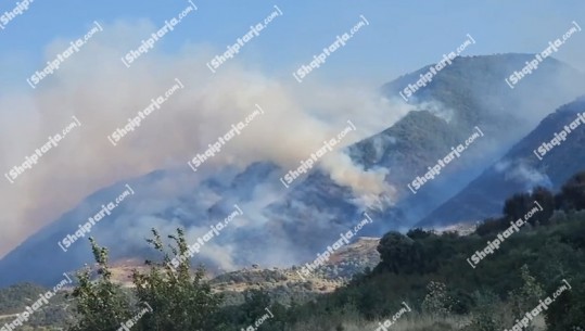 Tepelenë/ Zjarr në fshatin Luzat, helikopteri po punon për shuarjen