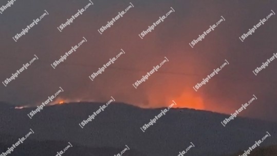 Zjarri në Gorisht dhe Gjormë të Selenicës, zjarrfikësit po punojnë për shuarjen e flakëve