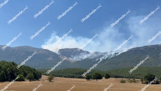 Prej 7 ditësh zjarri në Malin e Thatë, prefekti: Sot pritet që të vihet nën kontroll