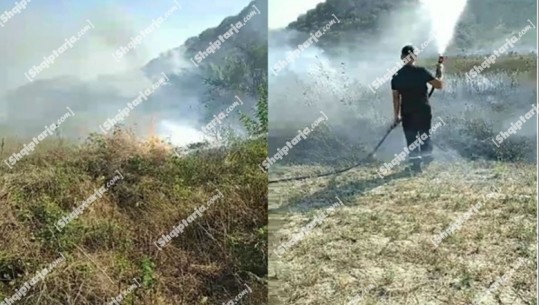 Berat/ Përfshihen nga flakët tokat bujqësore në fshatin Syzes, era ndihmoi zjarrin në pjesën e mbjellur me vreshta