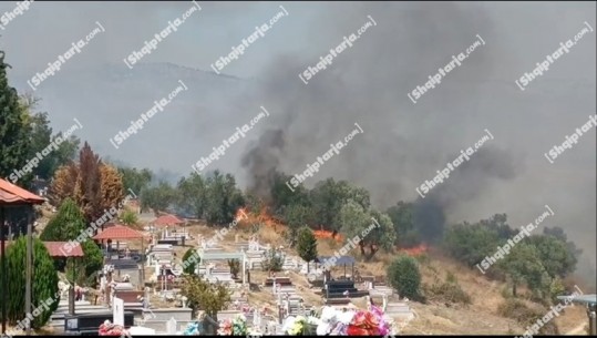 Bilanci i zjarreve: Që nga muaji janar janë djegur 29143 ha me pyje dhe javën e fundit 2390 ha