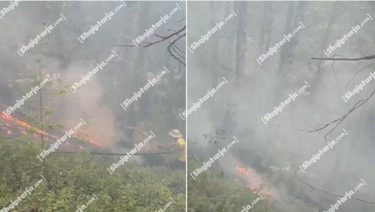 Izolohet vatra e zjarrit në Kaprre të Shalës, shmanget rreziku për banesat