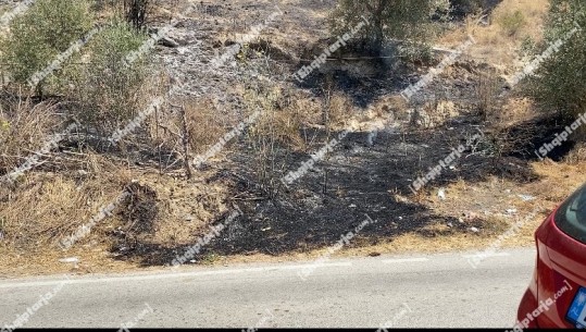 Zjarr në fshatin Çiflik në Lushnjë, digjen sipërfaqe me ullishte