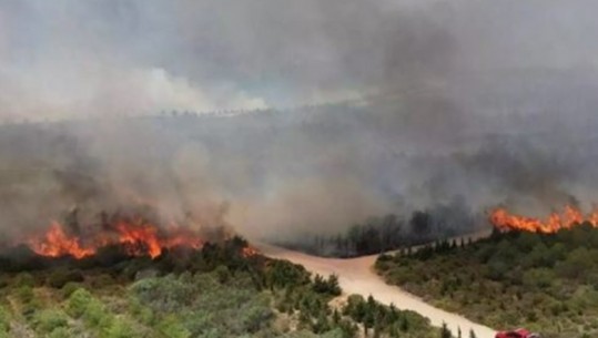 Turqia në flakë, zjarret përhapen në provincën perëndimore të Izmirit! Evakuohen banorët