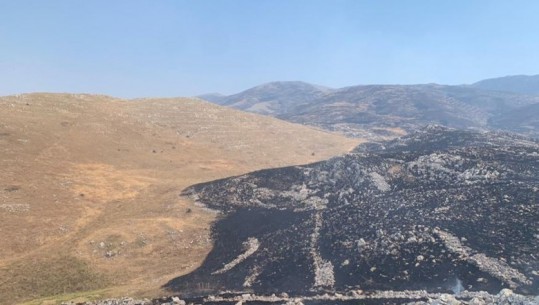 Vijon zjarri në Malin e Thatë në Pogradec, kërkohet ndërhyrja nga ajri, shikoni sipërfaqet e tokës së shkrumbuar (FOTO)