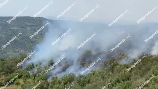 Dimal/ Zjarr në fshatin Drenovicë, flakët favorizohen nga era! Dyshohet se është i qëllimshëm