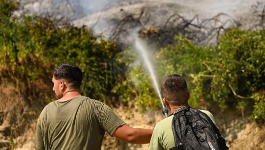 Situata e zjarreve në vend, 31 vatra në 24 orë, vetëm 3 janë ende aktive! Ministri Vengu: Situata paraqitet më e qetë