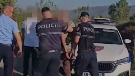 Shkodër/ Asgjësohen 361 bimë kanabis, vihet në pranga 67-vjeçari! Ja momenti kur kapet në flagrancë (VIDEO)