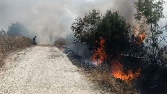 Lushnjë/ Digjen dhjetëra hektarë toke bujqësore në fshatin Kadiaj, banorët dhe zjarrfikësit 'në luftë' me flakët (VIDEO)