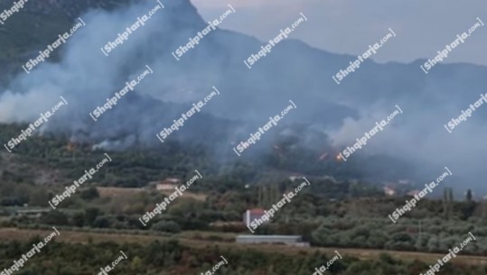 Lezhë/ Shuhet zjarri në Kallmet! Shpëtohet prona që rrezikohej nga flakët! Dëme të shumta në ekonominë pyjore të zonës