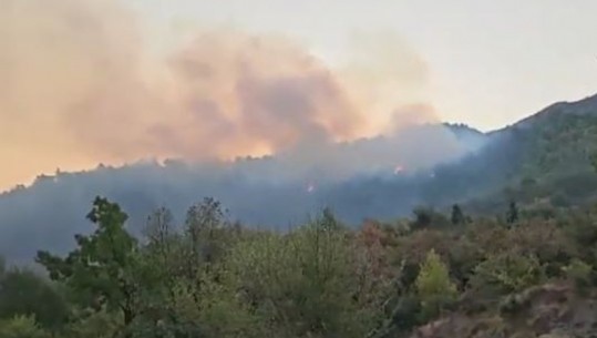 Situata me zjarret, Ministria e Mbrojtjes: 7 vatra ende aktive! 23 të raportuara në 24 orë