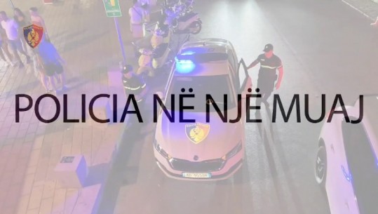 Policia bën bilancin për Gushtin/ 105 operacione, 560 të arrestuar! Janë asgjësuar 54 380 bimë kanabis sativa