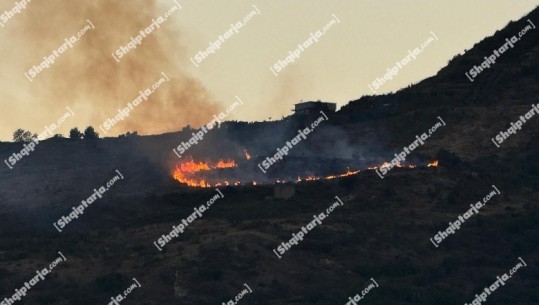 Zjarr në Qafë Krrabë të Elbasanit! Digjet një sipërfaqe me shkurre (VIDEO)