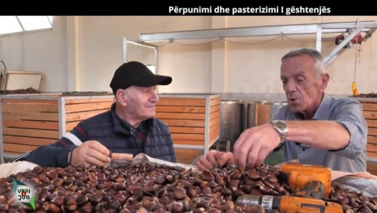 VIDEOLAJM/ Përpunimi dhe pasterizimi i gështenjës