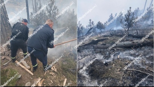 Shuhet zjarri në kufirin shqiptaro-grek në zonën e Leskovikut, u dogjën sipërfaqe me shkurre e ferra! Shpëtohen kurorat e pishave