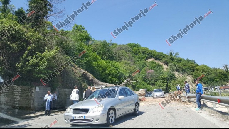 Tepelenë, pemët rrëzohen në rrugë, bllokohet qarkullimi në Ujin e Ftohtë/FOTO