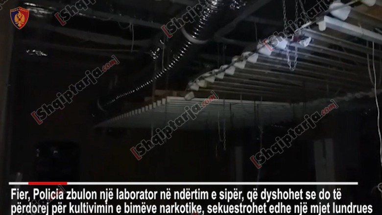 Drogë apo pula?! Zbardhet dëshmia e punëtorëve të laboratorit gjigant në Fier