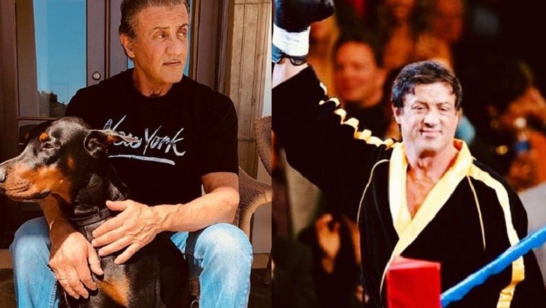 “Gjithçka mbaron një ditë”, zemërthyer Silvester Stallone i jep lamtumirën Rockyt