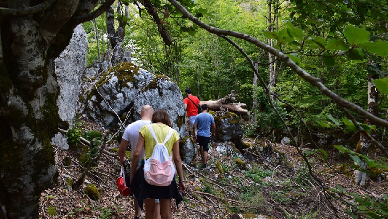 Humbin gjatë natës turistët italianë, banorët e Mallakastrës strehojnë gruan shtatzënë, burrin dhe 2 fëmijët