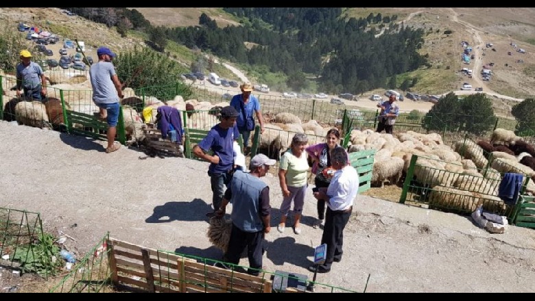 Kurbani i sakrificës dhe lutjeve, mijëra besimtarë në malin e Tomorrit (FOTO)