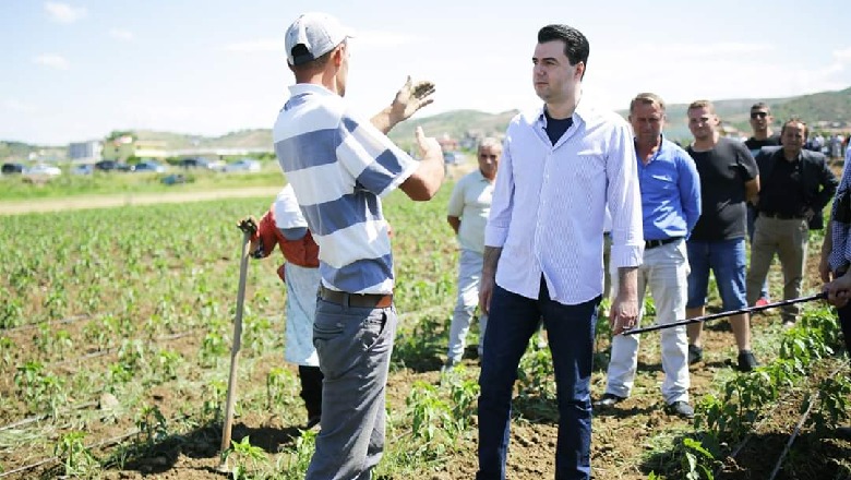 Basha takon fermerët në Lekaj të Rrogozhinës: Luftojnë me mish e shpirt për të mbijetuar (FOTO)