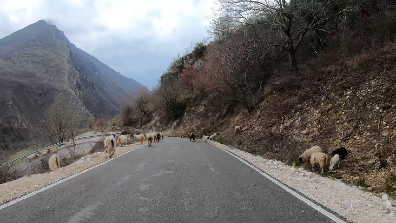 Dy pista dyshimi se ku mund të fshihet autori që vrau me sende të forta 57-vjeçarin