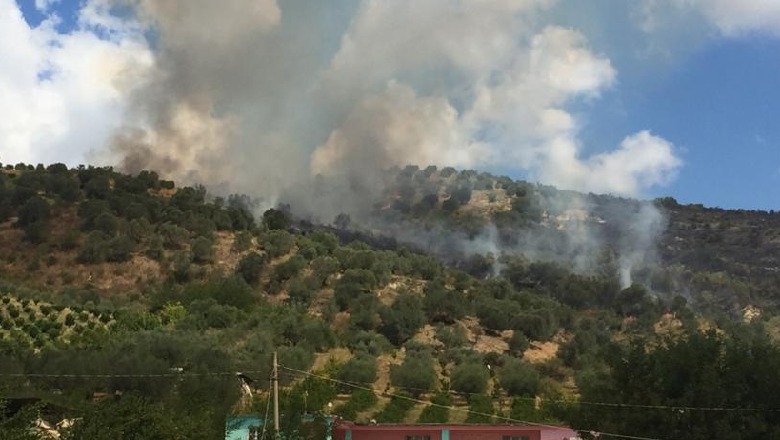 Cërrik/ I vuri flakën një pjese të pyllit, në hetim një 49-vjeçar