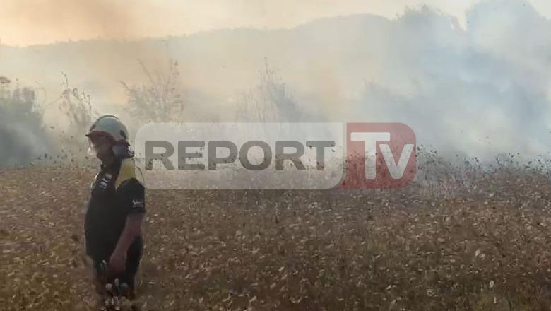 Rikthehen zjarret në vjeshtë! Shkrumbohen 2 km hekurudhë në Bubq, flakët në Memaliaj u afrohen banesave, vijon të digjet zona e mbrojtur në Poros të Vlorës