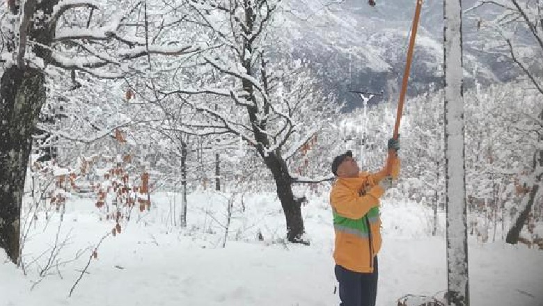 Bora dhe shiu 'pushtojnë' vendin, OSHEE: Raportohen defekte, më të prekura janë rajoni i Kukësit dhe Vlorës (FOTO)