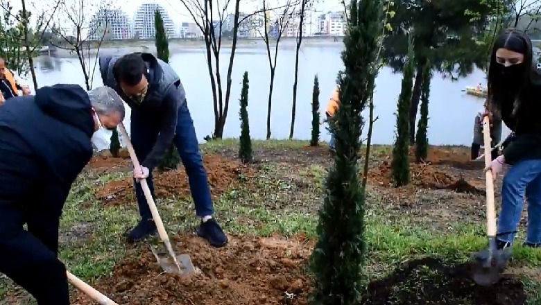 Mbillen 56 selvi te Liqeni në kujtim të 56 mjekëve që humbën jetën nga COVID, Veliaj: Një kënd i kujtesës për të mos u harruar