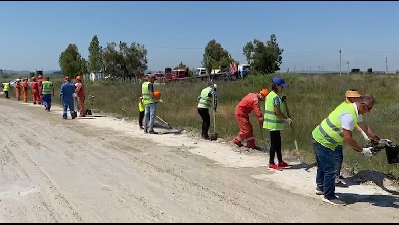 Bankers gjelbëron Patos-Marinzën në Ditën Ndërkombëtare të Mjedisit! Objektivi është një brez i gjelbër në zonë