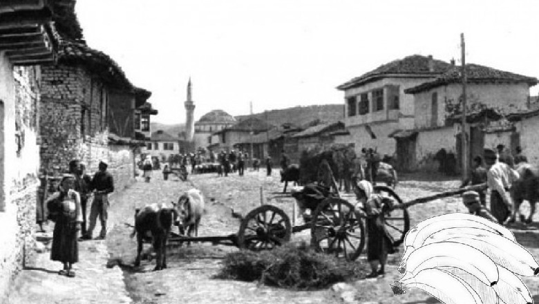 Shqipëria dhe ‘eksperimenti’ me bananet e Somalisë në 1940! Historia e një koncesioni të pazakontë