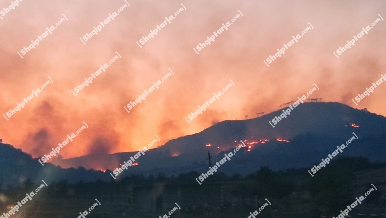 E dogjët Shqipërinë, tani përvëloni dhe veten tuaj