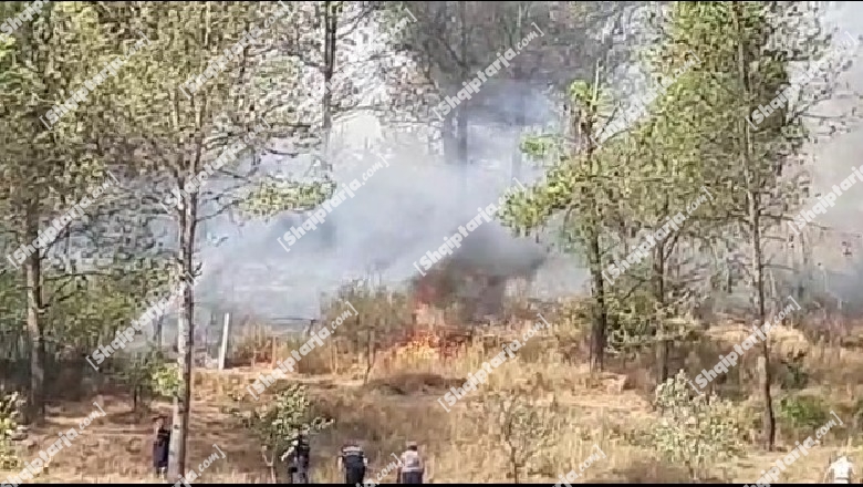 Shënohet viktima e parë nga zjarret, humb jetën i moshuari në fshatin Asim Zenel në Gjirokastër! Plagoset rëndë bashkëshortja e tij! U përpoqën të shuajnë flakët në oborrin e shtëpisë