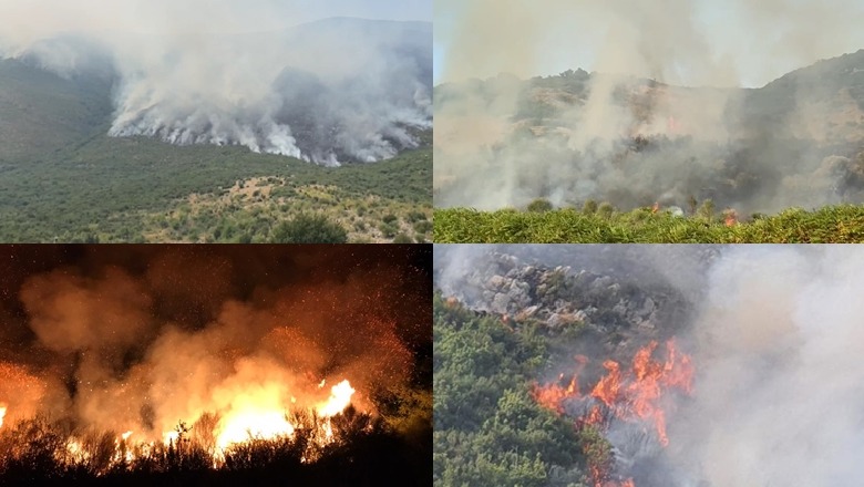 Zjarret në vend, Braçe: Ato nuk ndizen vetë, vihen qëllimisht nga personat që duhen ndëshkuar si terroristë! Qytetarët të denoncojnë rastet