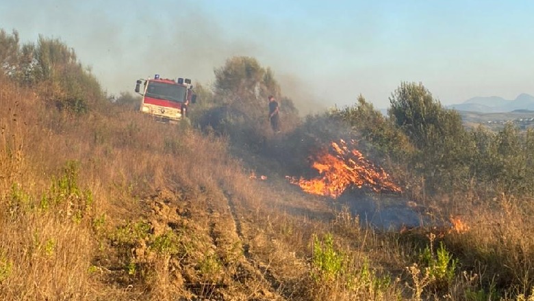 Dogji mbeturinat në portën e tij, por zjarri i doli nga kontrolli duke djegur ullinjtë e Belshit, arrestohet i riu! Një tjetër në kërkim në Librazhd, dogji Krepat e Xhakës