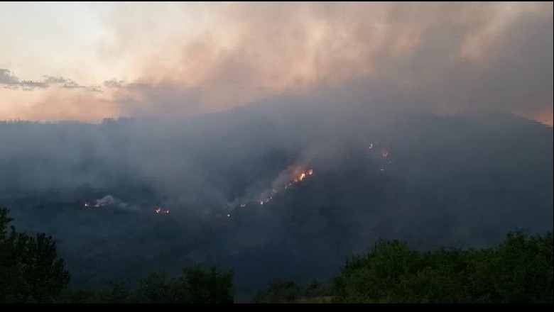 Vatër zjarri edhe në Pogradec, përfshihet nga flakët masivi pyjor në zonën e Mokrës, terreni i vështirë për të ndërhyrë