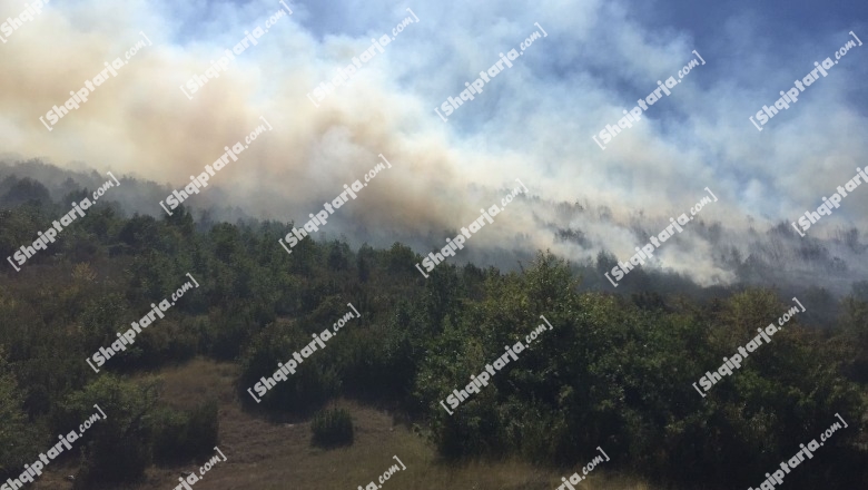 Parku Kombëtar i Prespës prej 3 ditësh nën pushtetin e flakëve, ndërhyn avioni grek për të shuar flakët