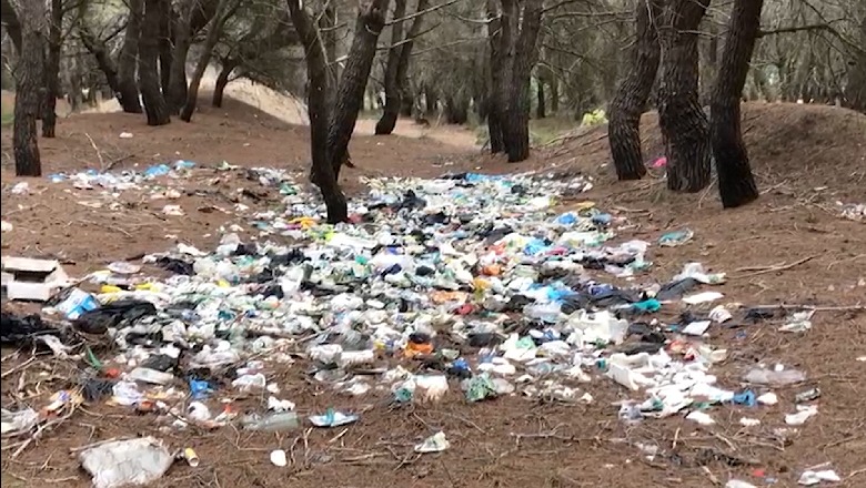 Dy ditë pas aksionit për pastrimin e pyllit të Sodës, ende i ndotur, asnjë masë konkrete