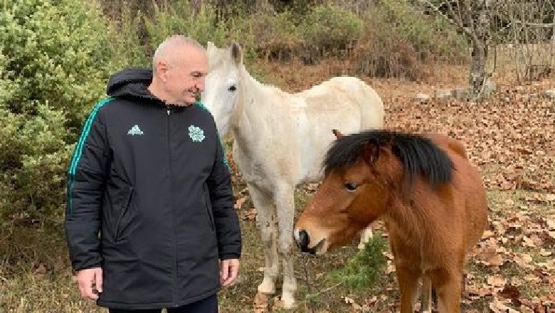 ‘Lufta’ mes demokratëve dhe shkatërrimi i selisë blu, Meta ‘harron’ realitetin politik dhe arratiset në natyrë 